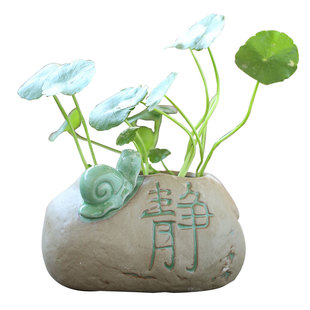 水培器皿碗莲专用盆铜钱草一叶莲睡莲盆缸水仙花盆陶瓷大号家用