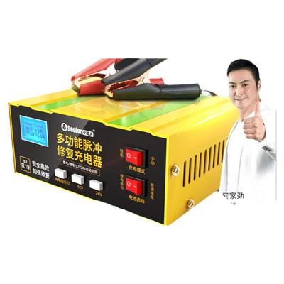 小能人新款大功率电瓶充电器