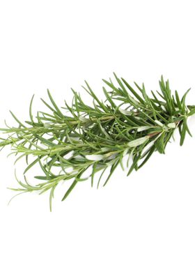 【千牛优福】新鲜250g新鲜迷迭香