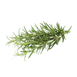 【千牛优福】新鲜迷迭香250g 西餐牛排香料食用香草调料马鞭草