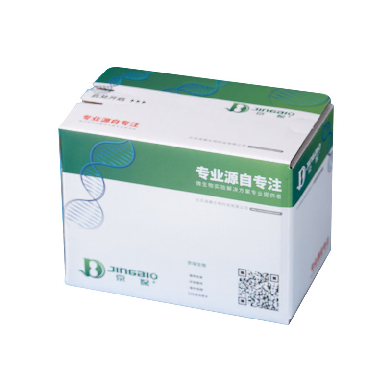 酿酒酵母DLHJJM-6清酒酵母Saccharomyces cerevisiae