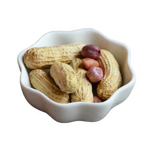 红裕丰甜酒花生农家咸干蒜香口味广东土特产炒货陈皮花生客家零食