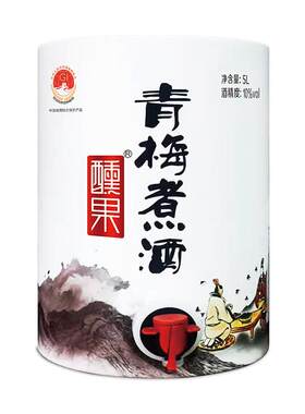 拍一得三醺果青梅酒5升大容量