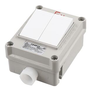 BQM-10国标工业EX防爆防腐消防照明220v10A一二三联双控墙壁开关