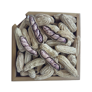 正宗云南七彩花生牛奶花生富硒花生新鲜晒干五彩生花生带壳新鲜