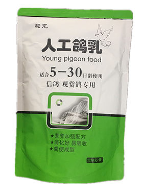 鸽乳人工包邮手养斑鸠