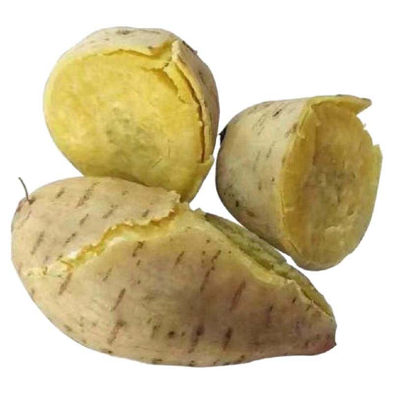 香甜现挖板栗薯沙地种植番薯黄心