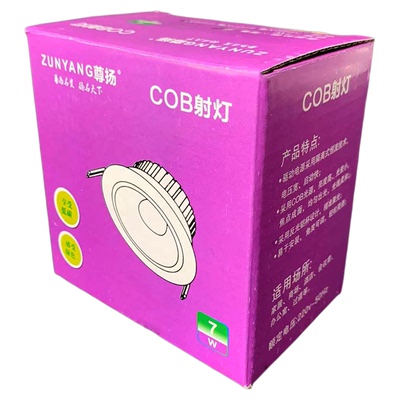 尊杨照明嵌入式cob天花灯射灯