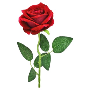 致命情人舞蹈道具大红色玫瑰花新疆维吾尔族表演出嘴叼手持仿真花