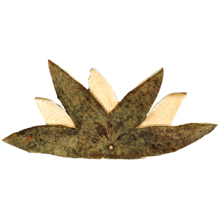 橘源堂正宗陈年化州橘红七爪化橘红皮金毛化橘红整胎果桔红片正品