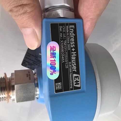议价恩德斯豪斯EH温度感测器 TM131-AACACCB1BA4ACAC2HA1AA1NQ