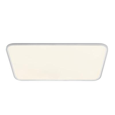 德国柏曼护眼客厅灯日光吸顶灯