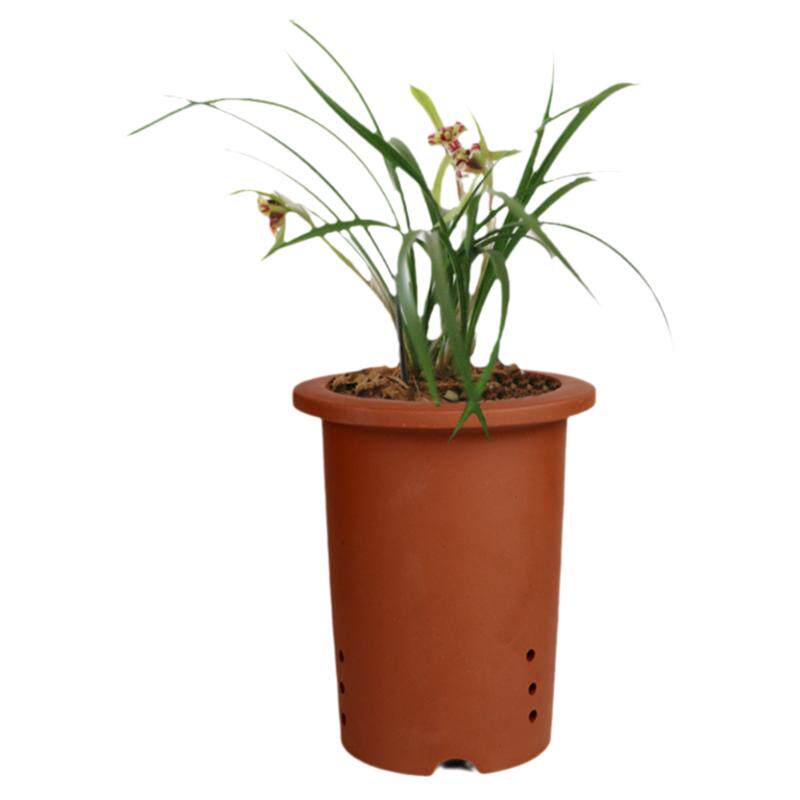 蔓木人紫砂宜兴紫砂花盆兰花盆大花盆建兰春兰桌面古典素面包邮