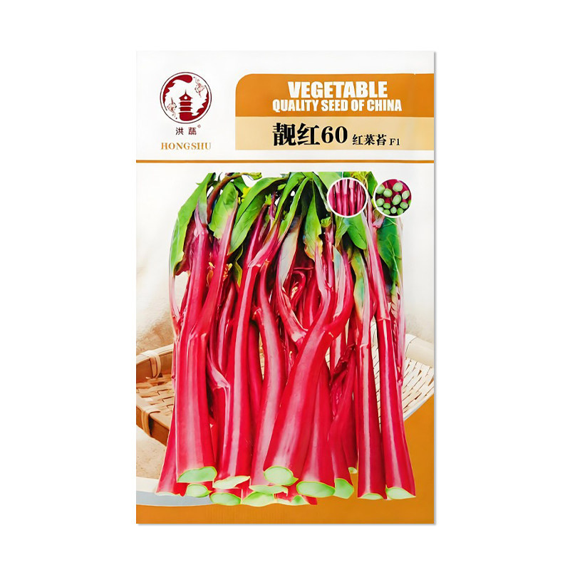 洪蔬靓红60红菜苔种子