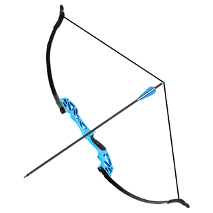 x3鹰隼反曲弓箭野外成人专业射箭射击套装户外入门新手竞技复合弓