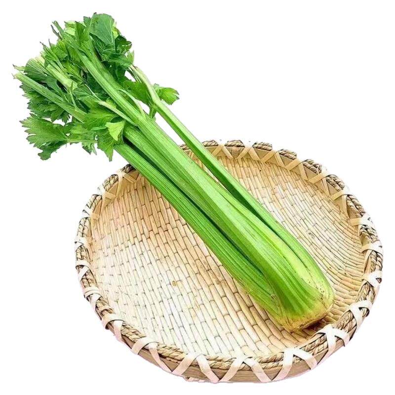 有机西芹杆5斤有机认证无农残 安疗新鲜榨汁专用不苦微甜量大优惠