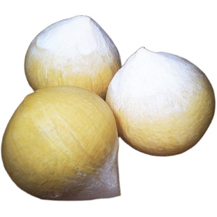 泰国进口牛奶椰皇椰子新鲜当季水果椰青老椰子汁肉椰奶烤椰包邮