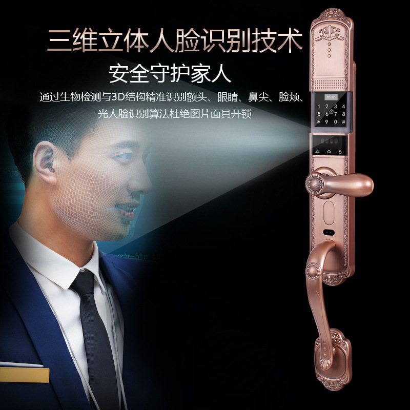 3D人脸涂鸦zigbee智能门锁 欧式别墅指纹锁 全自动远程开锁智能锁