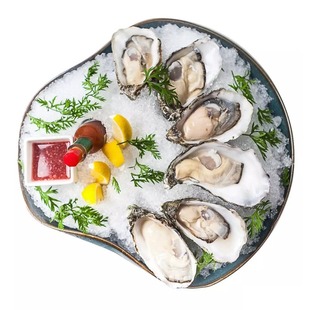 吉娜朵法国生蚝12只N0/N1/N4号12只 空运鲜活 即食 进口 刺身牡蛎