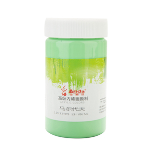 亚利达300ml丙烯画颜料防水轮胎绘画材料diy墙绘工具鞋子专用改鞋颜料套装笔百喜图色彩手绘画鞋涂鸦儿童丙烯