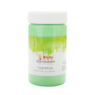 亚利达300ml丙烯画颜料防水轮胎绘画材料diy墙绘工具鞋子专用改鞋颜料套装笔百喜图色彩手绘画鞋涂鸦儿童丙烯