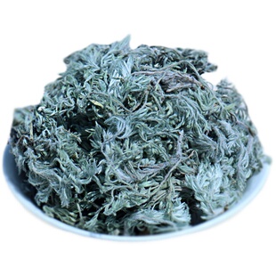 茵陈包邮茵陈茶整棵茵陈蒿茶新鲜泡水绵茵陈中药材