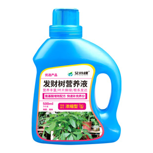 发财树专用营养液治疗黄叶掉叶黄斑烂根绿植家用室内水培复合肥料