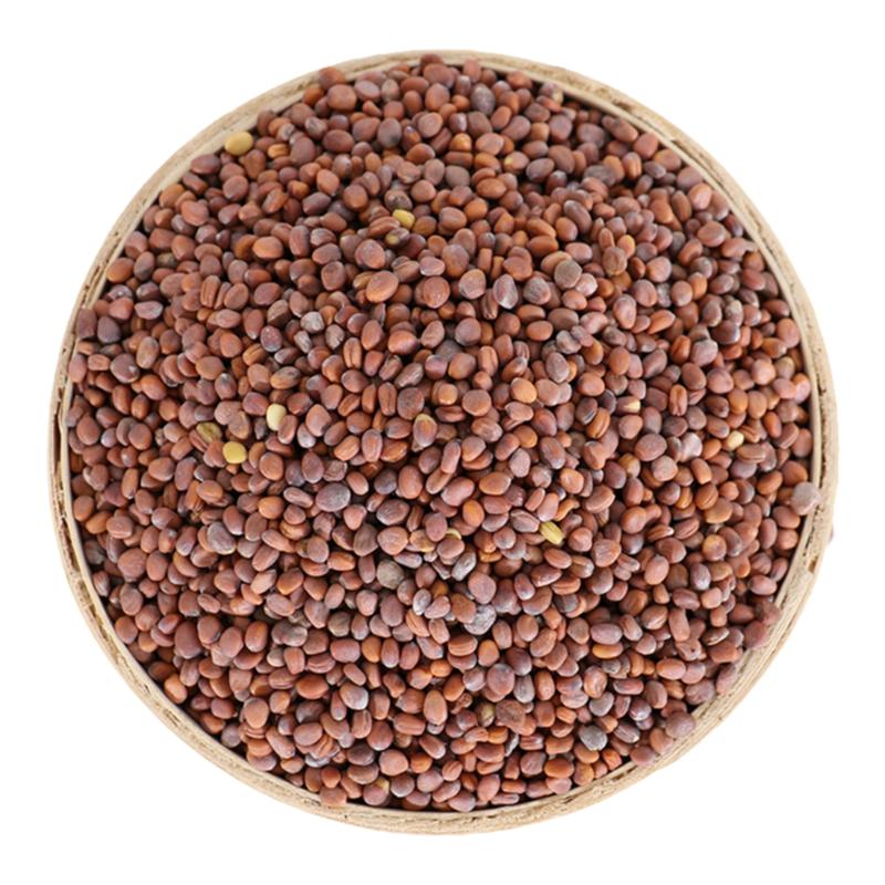 康美药业 莱菔子 10g 中药材店铺饮片康美之恋白萝卜子熟萝籽广东