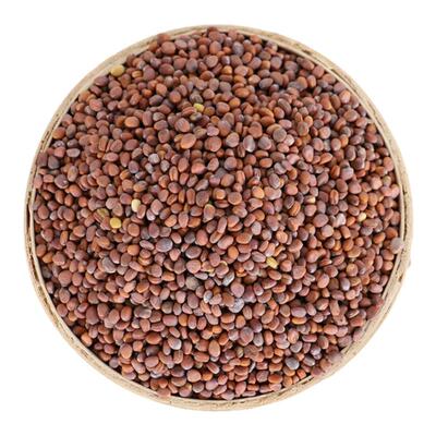 康美药业莱菔子中药饮片