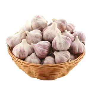 山东蒜紫皮大蒜头干蒜批发2025年新蒜头农家蒜头干大蒜新鲜紫蒜