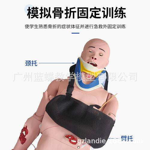 闭合式四肢骨折固定训练模型 带颈托创伤护理脊柱损伤搬运模拟人