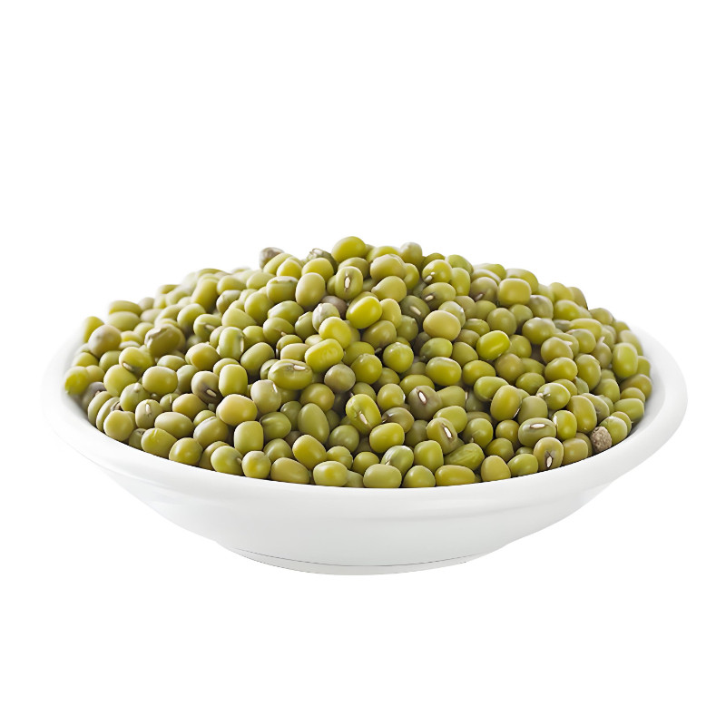 红豆种子绿豆种子红小豆