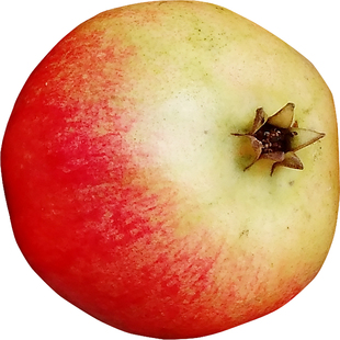 5斤河阴石榴新鲜水果河南软籽甜酸突尼斯维C花青多酚红酒果汁酵素