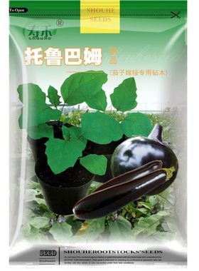 茄子砧木蔬菜嫁接种籽鲁巴种子