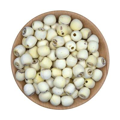 真湘莲磨皮去芯大粒白莲