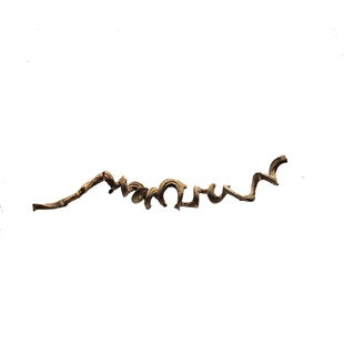 天然过江龙藤条插花软装装饰干树枝摆件禅意爬宠攀爬弯曲树枝