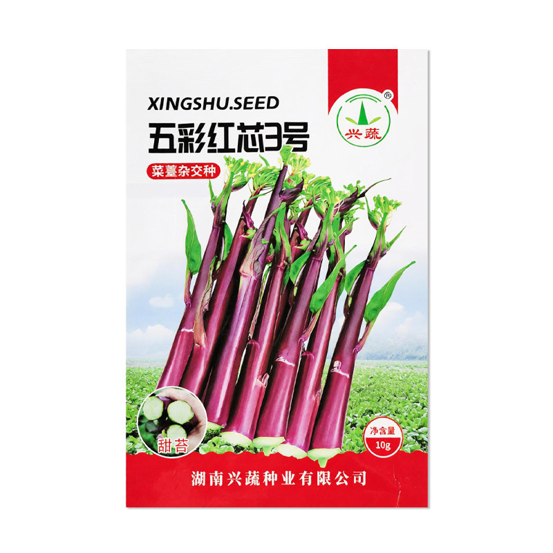 兴蔬五彩红芯3号红菜苔种子