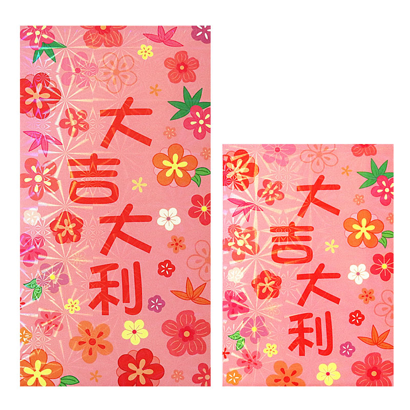小清新红包袋节日通用2025春节过年港版新款个性压岁包利是封加厚