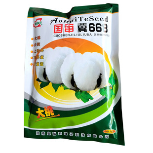 国审668 抗重茬懒汉棉花种子种籽大田种植高产农用春季抗病抗虫棉