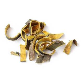 纯正粗皮中药材黄柏树苗厚皮川黄柏苗黄劈木黄檗元柏黄菠萝苗现挖