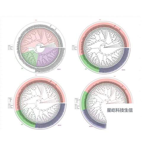 GEO,TCGA,数据挖掘,数据分析,数据查找,转录组