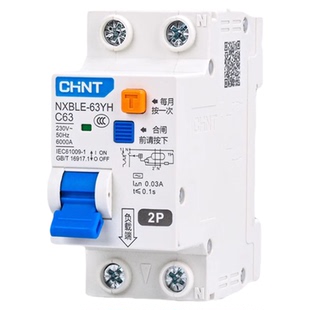 正泰NXBLE-63YH家用小型漏电保护器1P+N32A两位空气开关带漏保2p