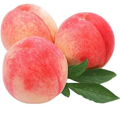 现摘水蜜桃新鲜水果大桃子应当季软时令脆甜毛桃整箱包邮果园大果