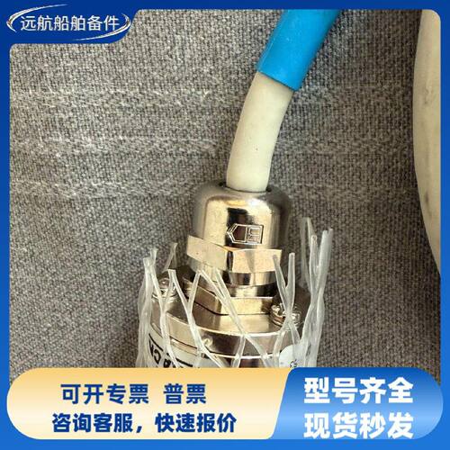 SAACKE扎克锅炉火眼 火焰检测器 锅炉监控 燃烧安全