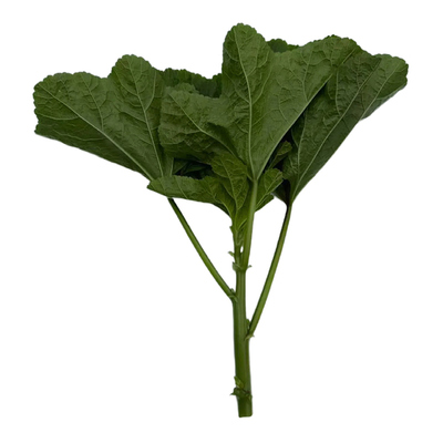 四川农家冬寒菜现摘现发