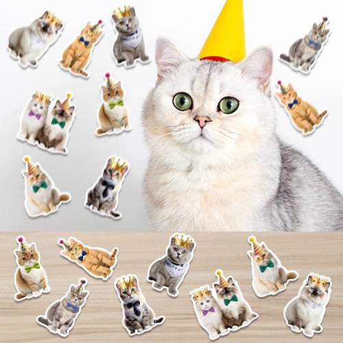 宠物猫主题桌面装饰抛洒散布置猫咪桌面片片生日散生日派对装饰