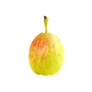 正宗新疆库尔勒香梨全母梨子 官方旗舰店严选水果 产地直发顺丰