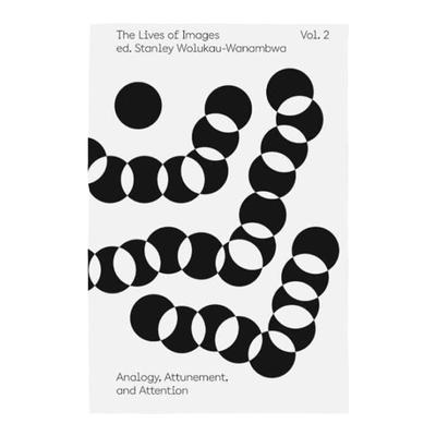 预售 The Lives Of Images Vol. 2 Analogy Attunement And Attention