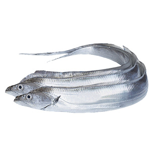 【6两-9两/条】黄海小眼油带鱼海钓大带鱼新鲜海鱼比舟山带鱼好