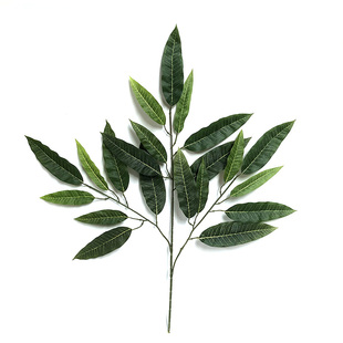 仿真树叶荔枝叶芒果叶园林装饰假树叶工程插花布景树枝丝印布叶子